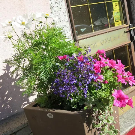 Hotel Garni Oasi 3*