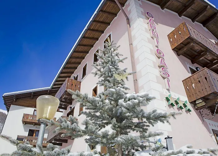 Отель Garni Oasi